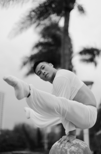 達人秀倒立舞者、柔術(shù)達人